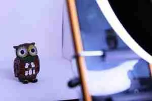 Figura de búho fotografiada junto al aro de luz